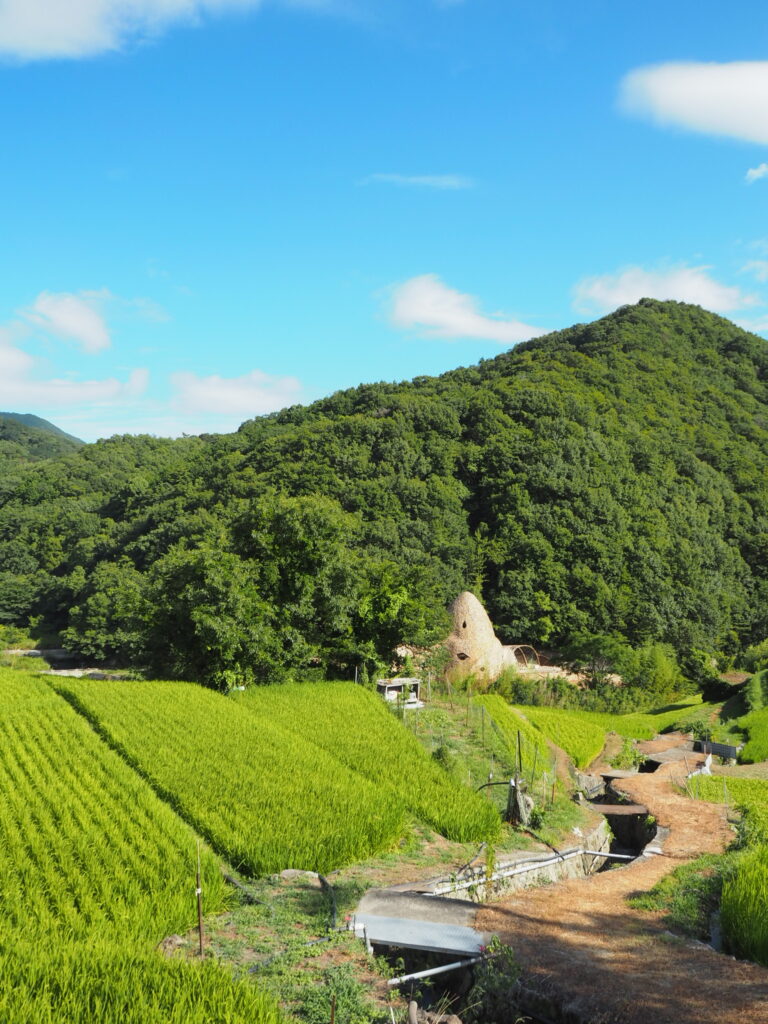 小豆島の棚田とアート